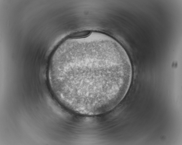 X0000112150060200909181434
