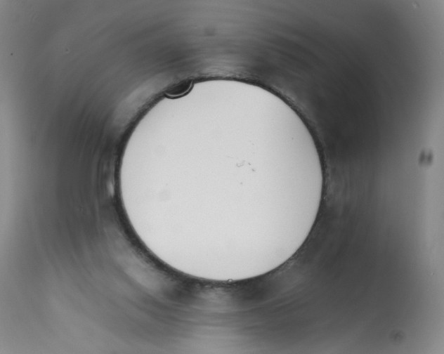 X0000112150062200909181434