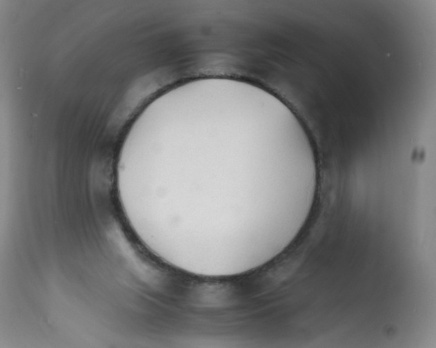 X0000112150063200909181434