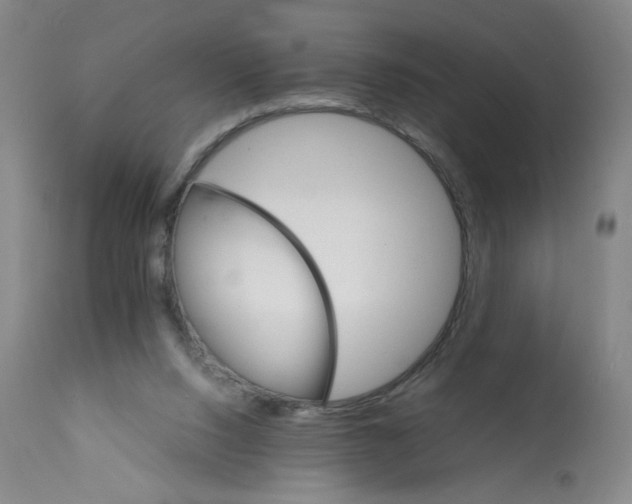 X0000112150064200909181434