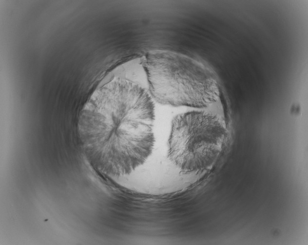 X0000112150065200909181434