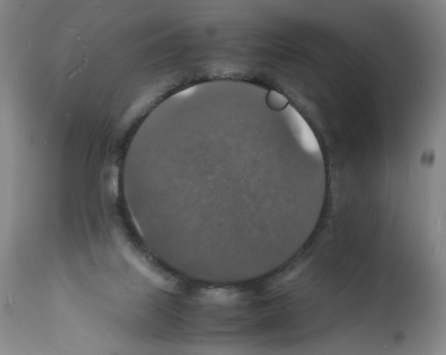 X0000112150067200909181434