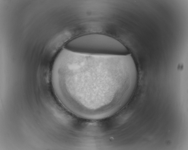 X0000112150068200909181434