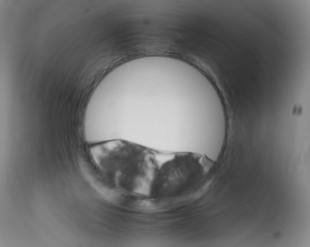 X0000112150069200909181434
