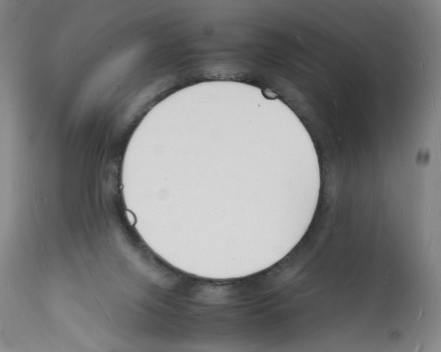 X0000112150071200909181434