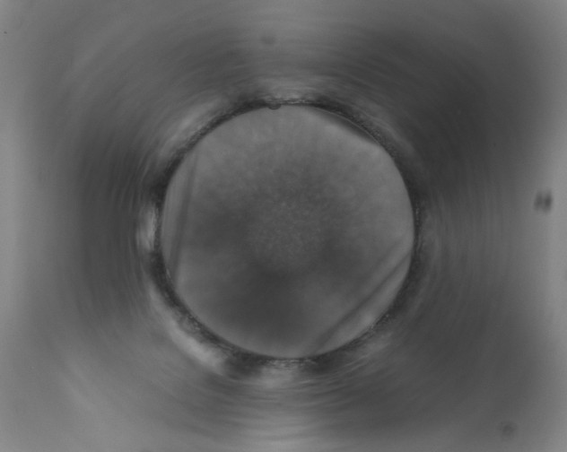 X0000112150076200909181434
