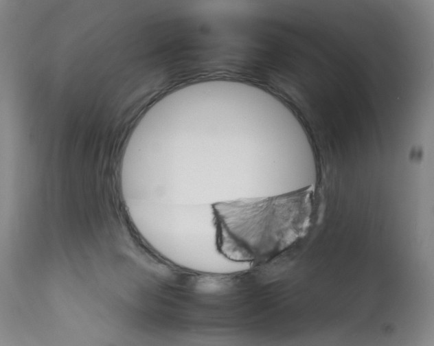 X0000112150077200909181434