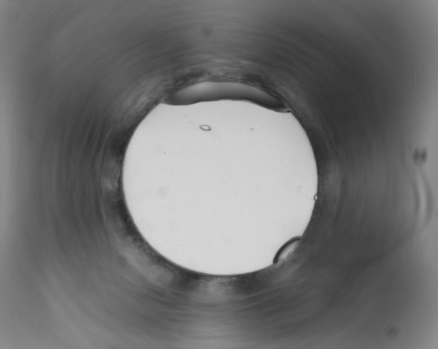 X0000112150078200909181434