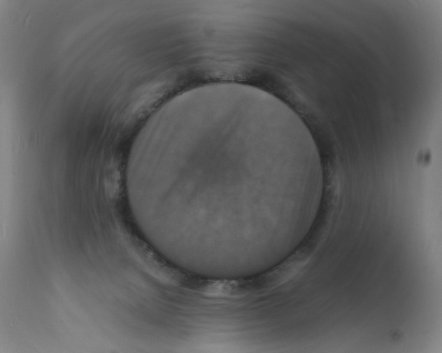 X0000112150080200909181434