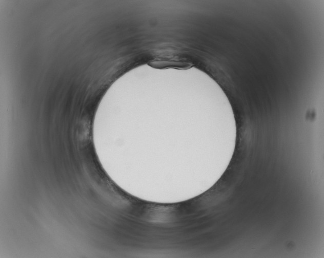 X0000112150081200909181434