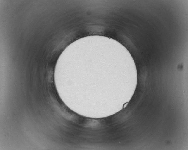 X0000112150083200909181434