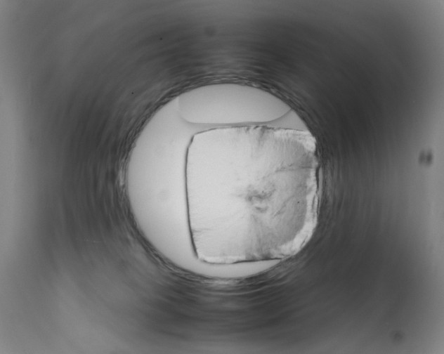 X0000112150085200909181434