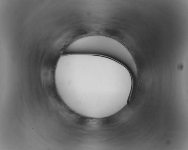 X0000112150088200909181434