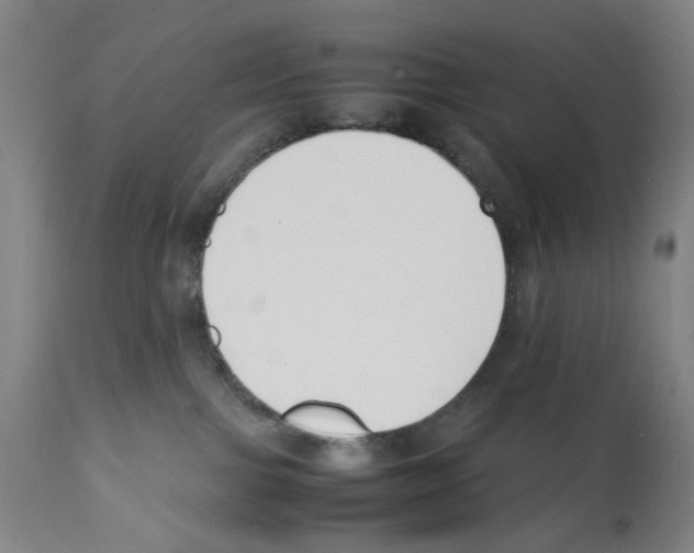 X0000112150091200909181434