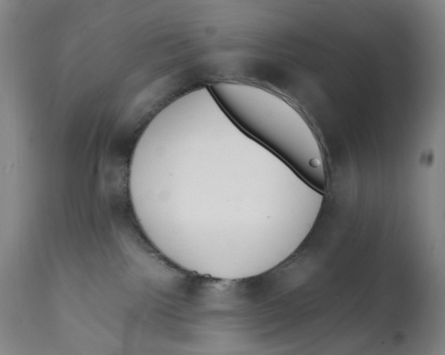 X0000112150092200909181434