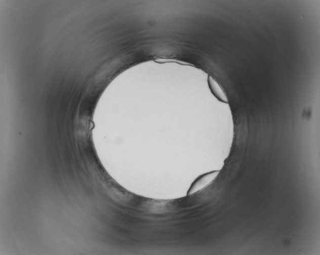 X0000112150093200909181434