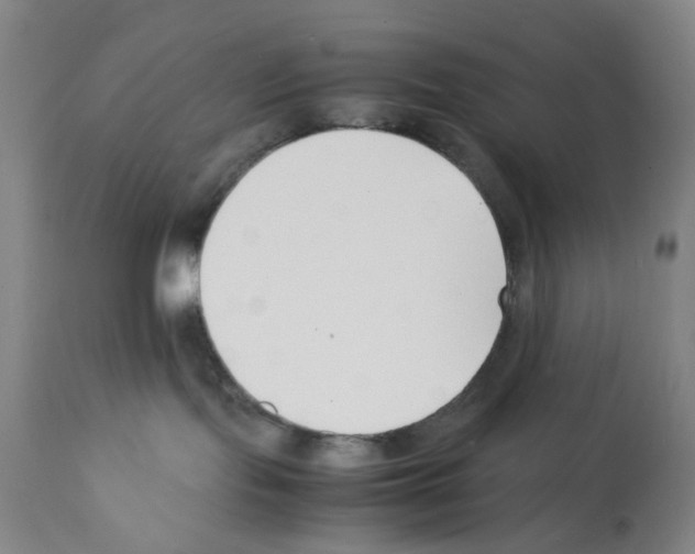 X0000112150095200909181434