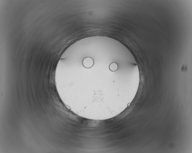 X0000112150096200909181434