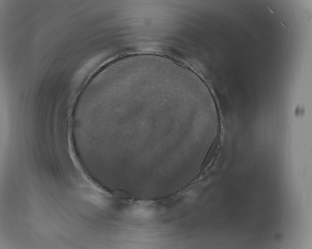 X0000112150097200909181433