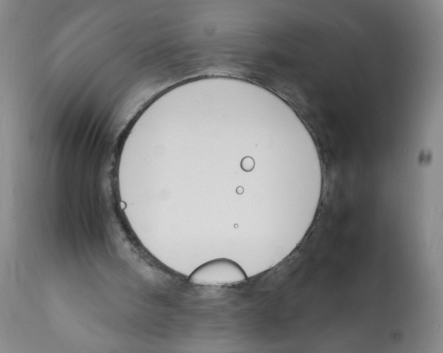 X0000112150098200909181433
