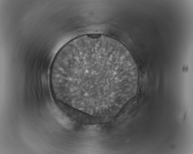 X0000112150100200909181433
