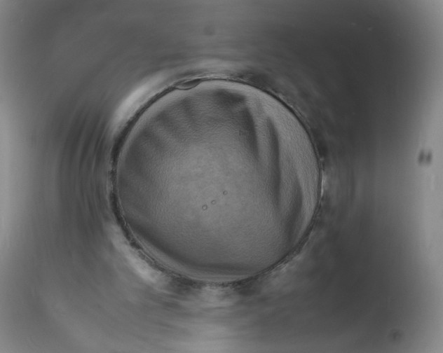 X0000112150101200909181433