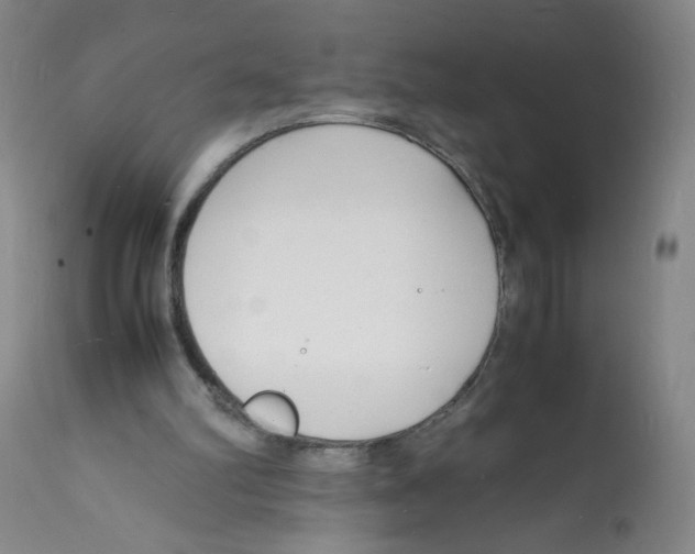 X0000112150102200909181433