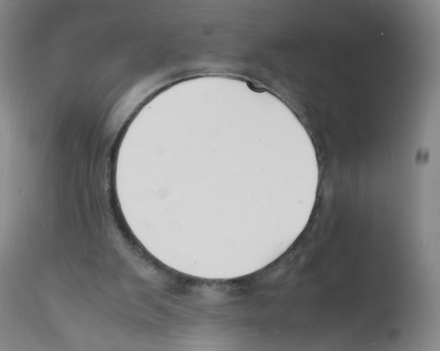 X0000112150103200909181433