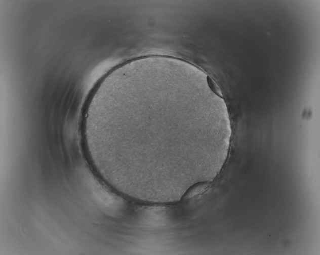 X0000112150104200909181433