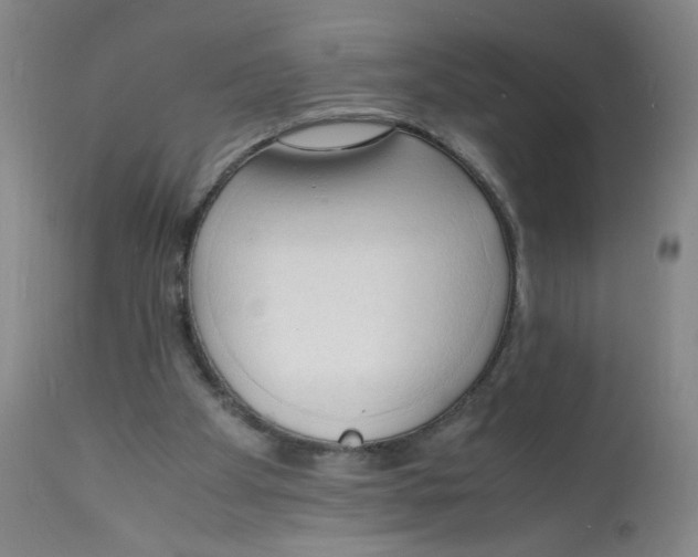X0000112150105200909181433