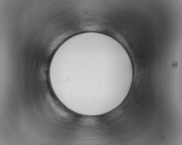 X0000112150106200909181433