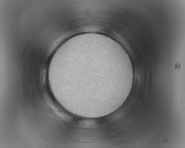 X0000112150110200909181433