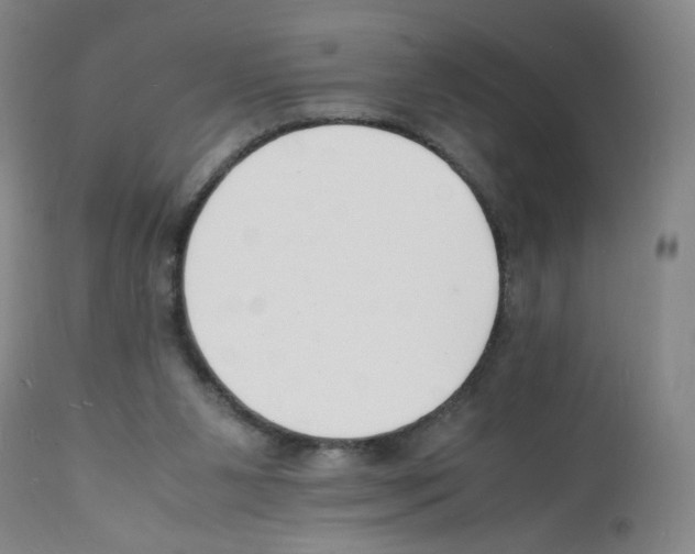X0000112150111200909181433