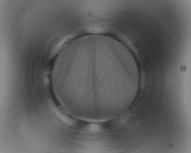 X0000112150114200909181433