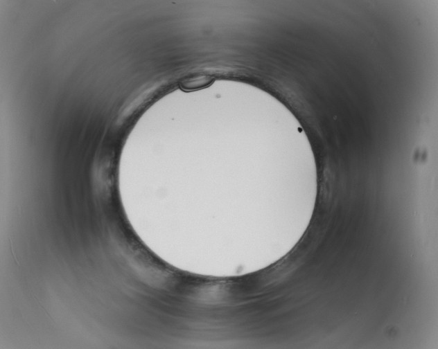 X0000112150116200909181433