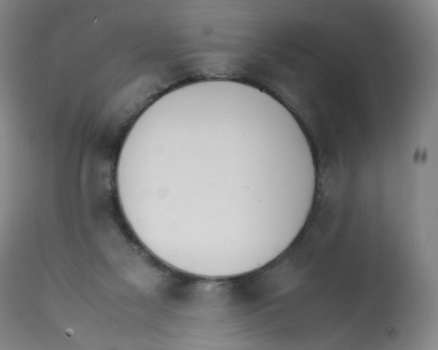 X0000112150117200909181433