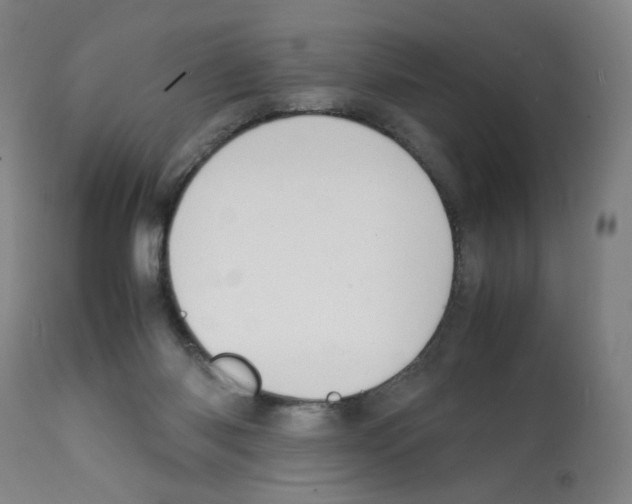 X0000112150118200909181433