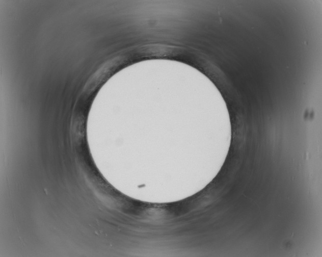 X0000112150119200909181433