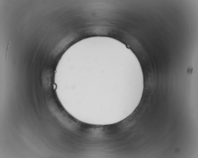 X0000112150120200909181433