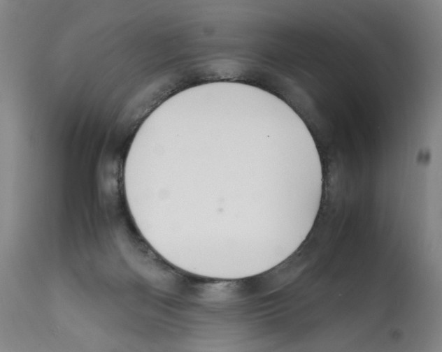X0000112150122200909181433