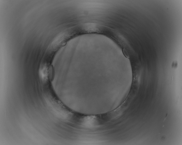 X0000112150124200909181433