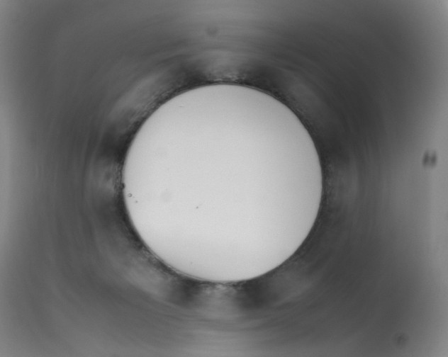X0000112150125200909181433