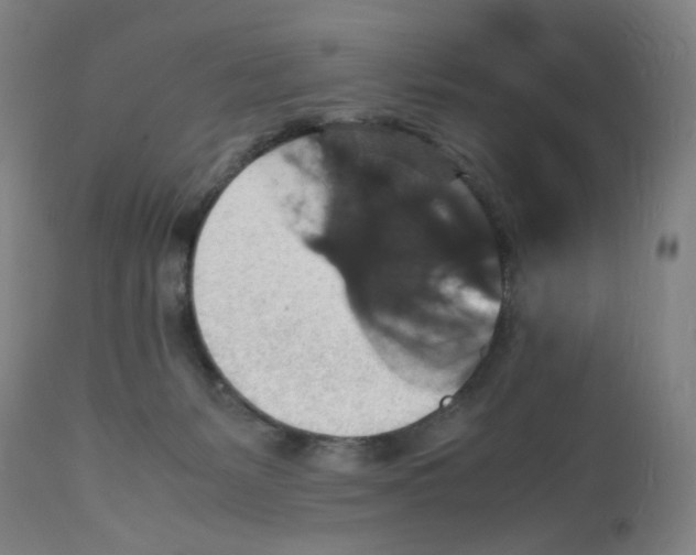 X0000112150127200909181433