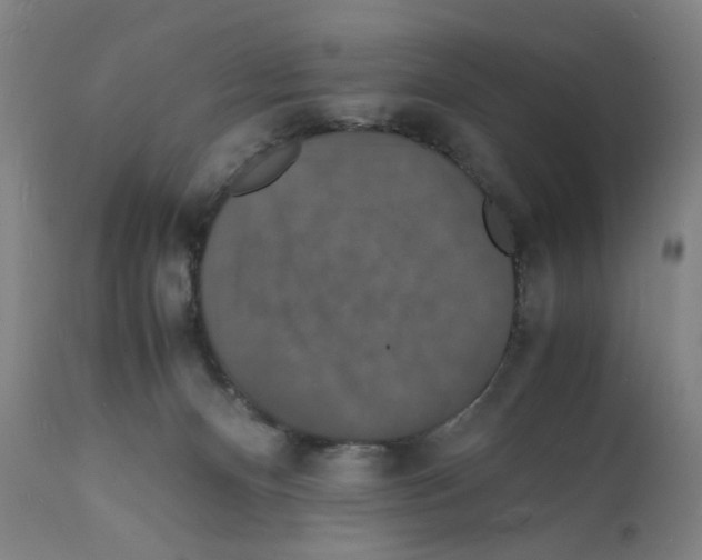 X0000112150128200909181433