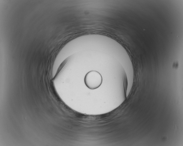 X0000112150129200909181433