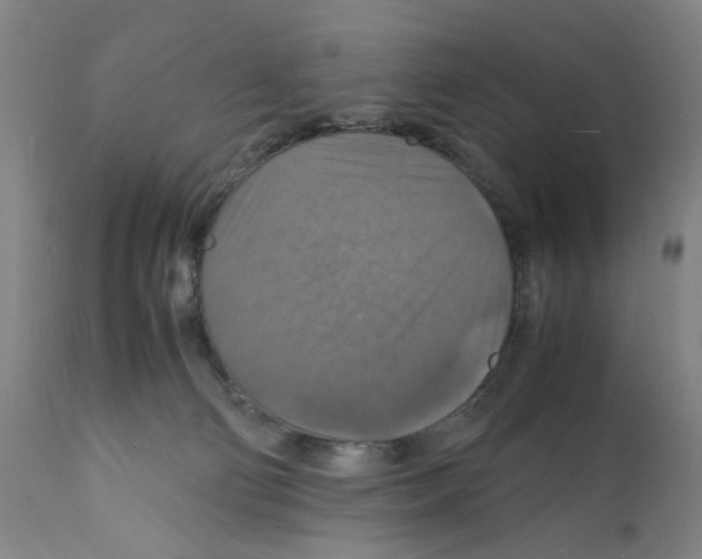 X0000112150130200909181433