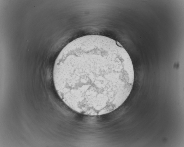 X0000112150131200909181433