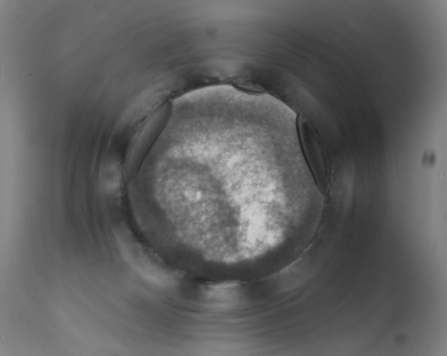 X0000112150132200909181433