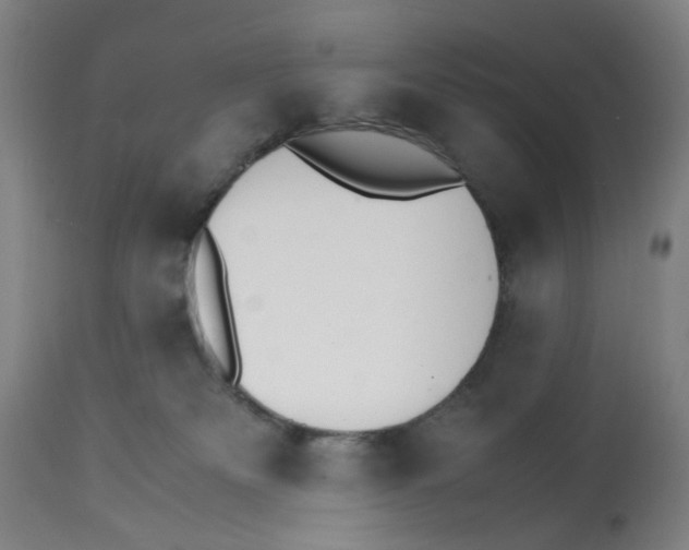 X0000112150133200909181433