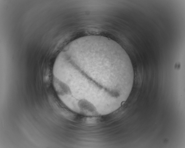 X0000112150134200909181432